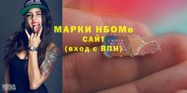бошки Дубна