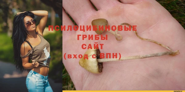 гидропоника Аркадак