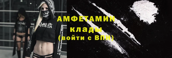 твердый Арсеньев