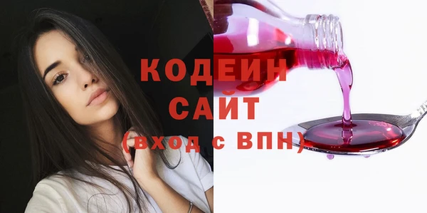 прущие грибы Балабаново