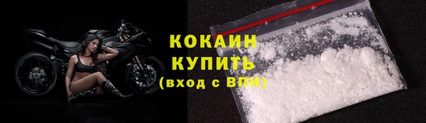 твердый Арсеньев