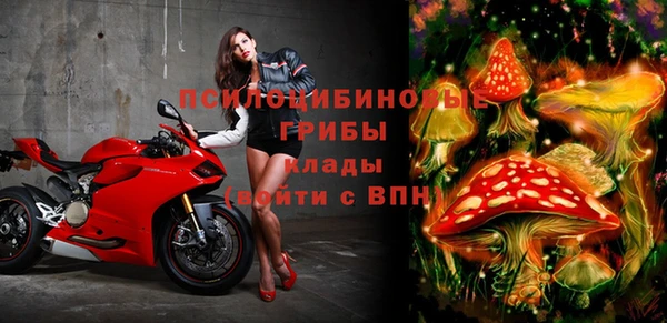 твердый Арсеньев