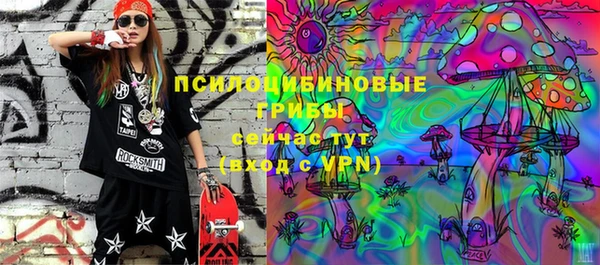 твердый Арсеньев